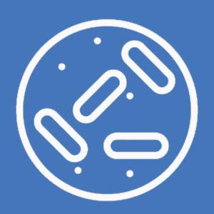 Биологическая очистка сточных вод